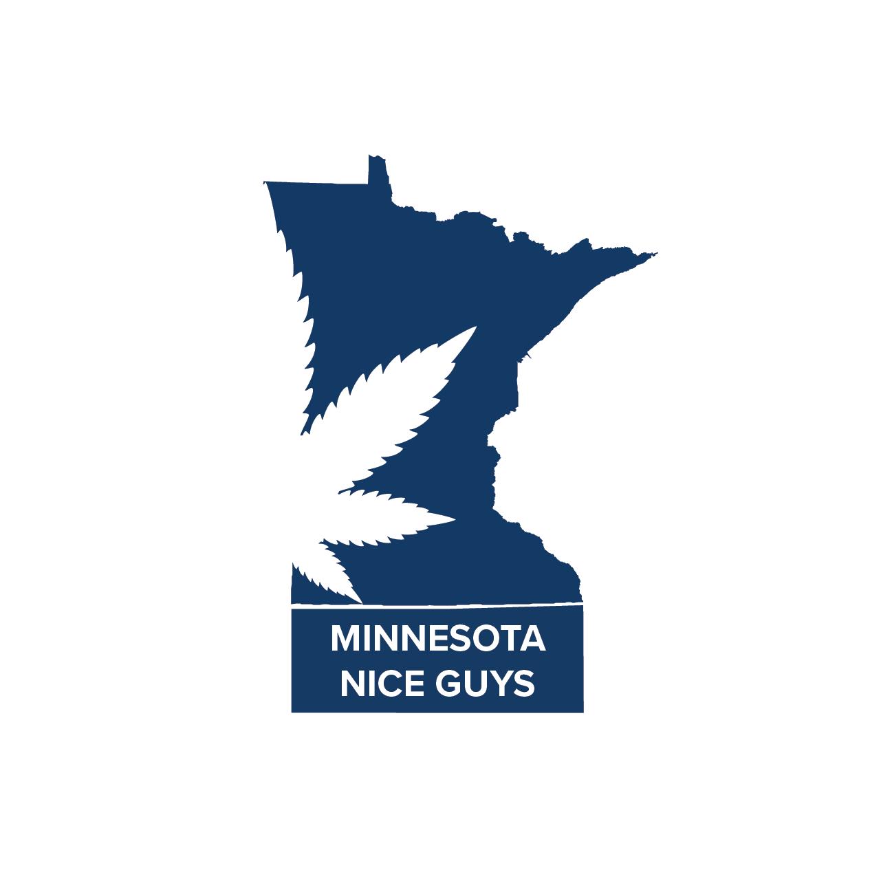 Minnesota Nice Guys